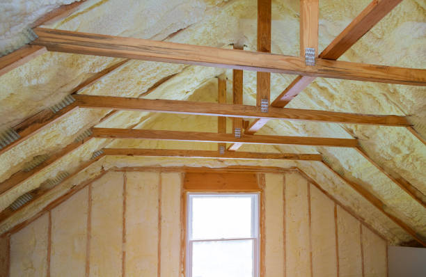 Types of Insulation We Offer in Lavon, TX