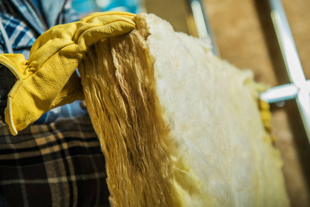 Best Blown-in Insulation in Lavon, TX