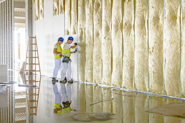 Best Insulation for Specific Applications in Lavon, TX